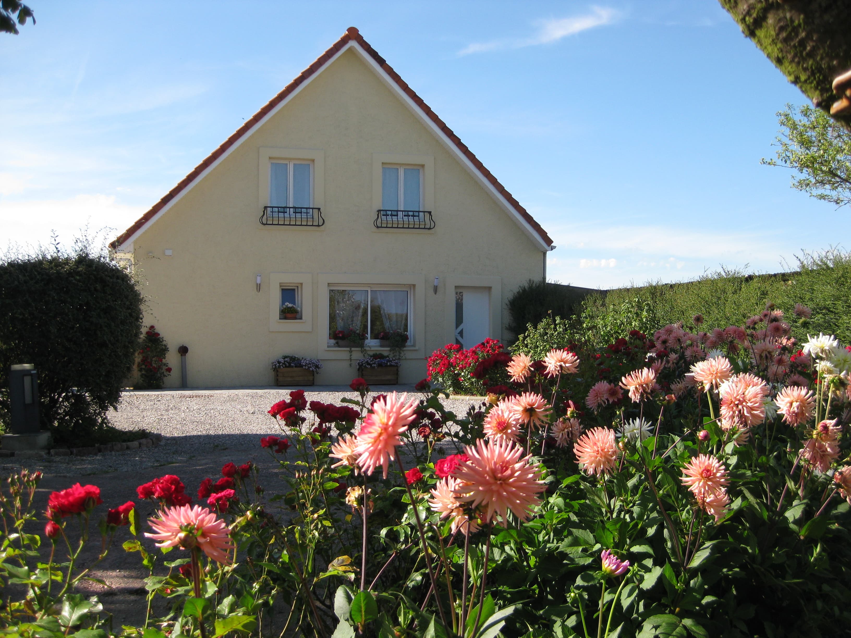 Jardin fleuri